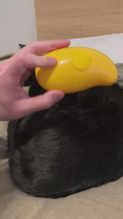 Purstine Pet Spray Brush